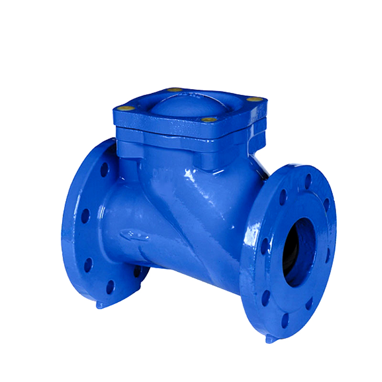 Iron Ball Check Valve